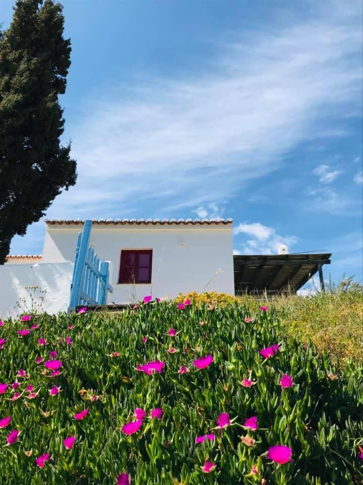 Casa Pedralva Villa Vila do Bispo Exterior foto